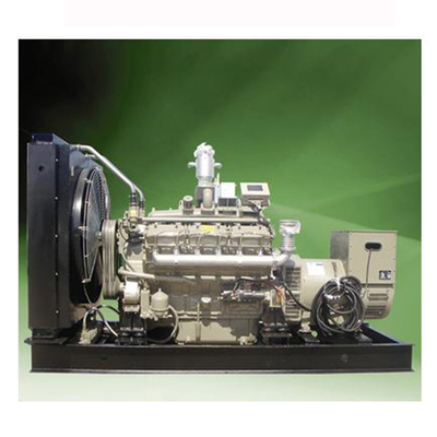 10KVA بیوگاز موتور ژنراتور 500KW گاز متان ژنراتور برق