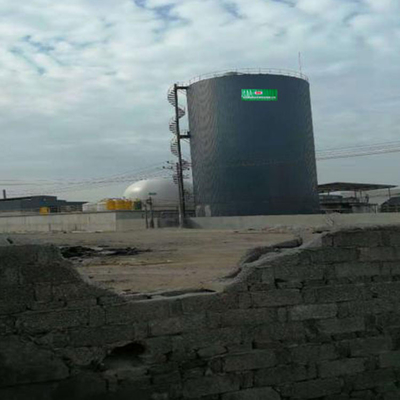 Cow Dung Biogas Chp Plant EGSB CHP کارخانه تصفیه فاضلاب