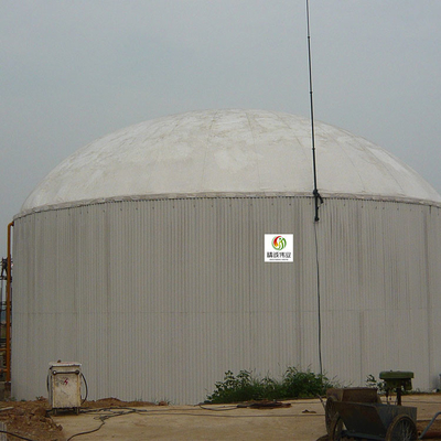 Cow Dung Biogas Chp Plant EGSB CHP کارخانه تصفیه فاضلاب